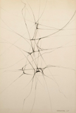 Linearzeichnung, 1965, Kugelschreiber auf Karton, 39 x 26,7 cm